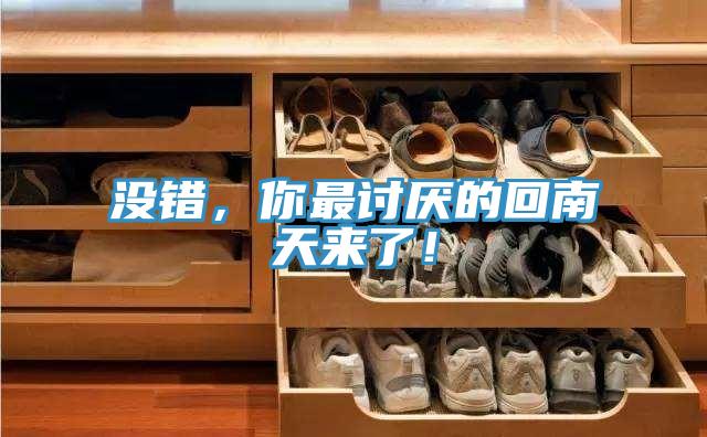 沒錯(cuò),你最討厭的回南天來了!