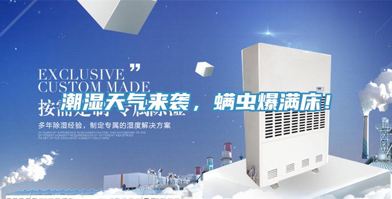 潮濕天氣來襲，螨蟲爆滿床！
