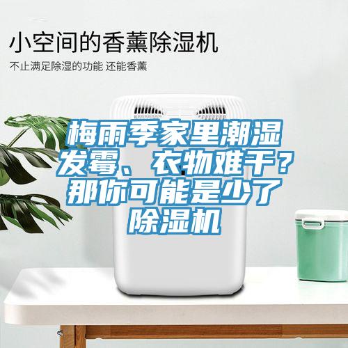 梅雨季家里潮濕發(fā)霉、衣物難干？那你可能是少了除濕機(jī)