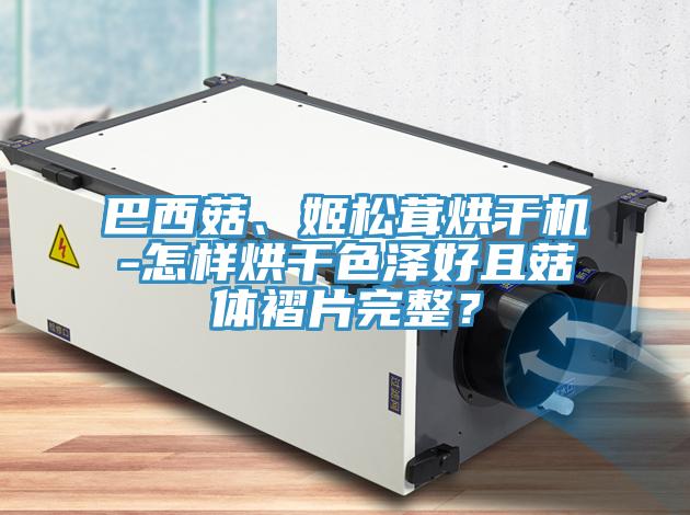 巴西菇、姬松茸烘干機-怎樣烘干色澤好且菇體褶片完整？