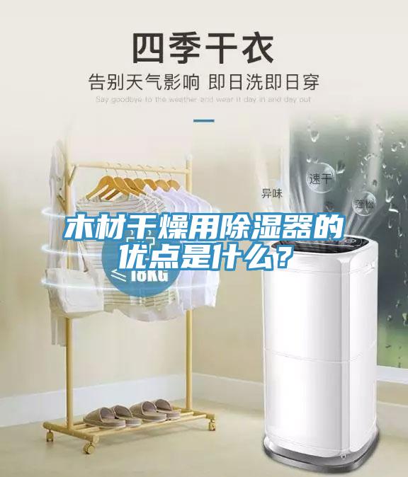 木材干燥用除濕器的優(yōu)點(diǎn)是什么？