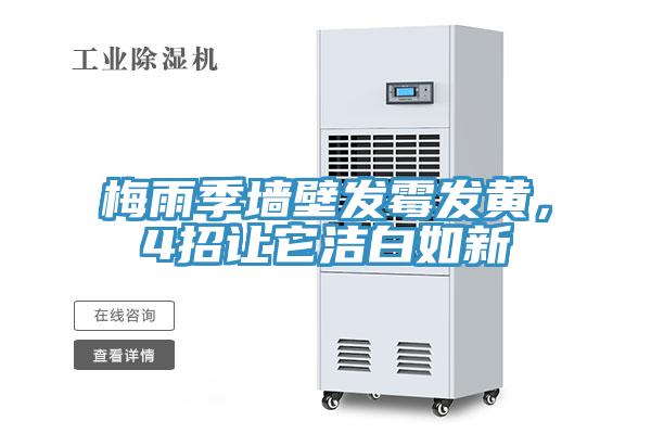 梅雨季墻壁發(fā)霉發(fā)黃，4招讓它潔白如新