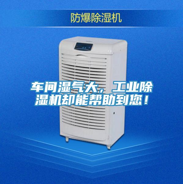 車間濕氣大，工業(yè)除濕機(jī)卻能幫助到您！