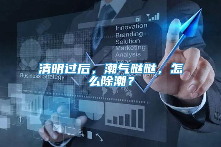 清明過后，潮氣噠噠，怎么除潮？
