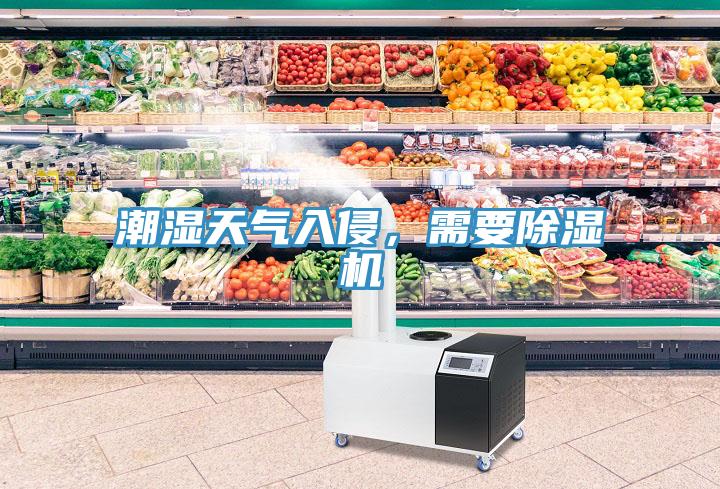 潮濕天氣入侵，需要除濕機