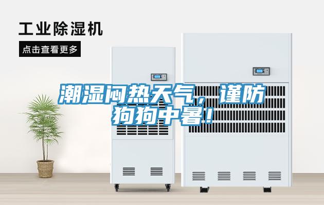 潮濕悶熱天氣，謹(jǐn)防狗狗中暑！