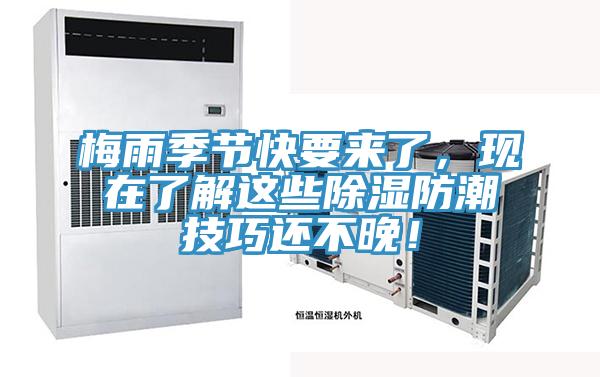 梅雨季節(jié)快要來(lái)了，現(xiàn)在了解這些除濕防潮技巧還不晚！