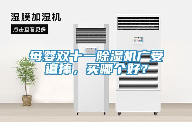 母嬰雙十一除濕機廣受追捧，買哪個好？