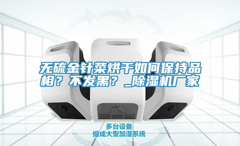 無硫金針菜烘干如何保持品相？不發(fā)黑？_除濕機廠家