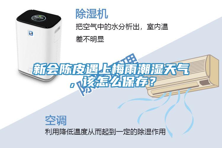 新會陳皮遇上梅雨潮濕天氣，該怎么保存？