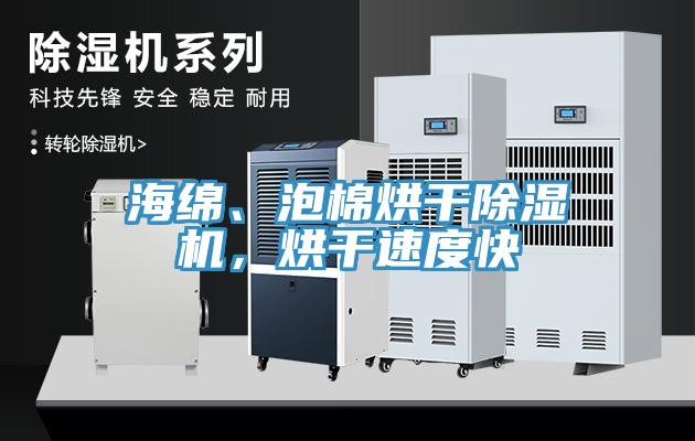 海綿、泡棉烘干除濕機，烘干速度快