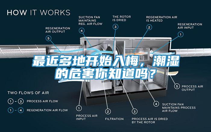 最近多地開始入梅，潮濕的危害你知道嗎？