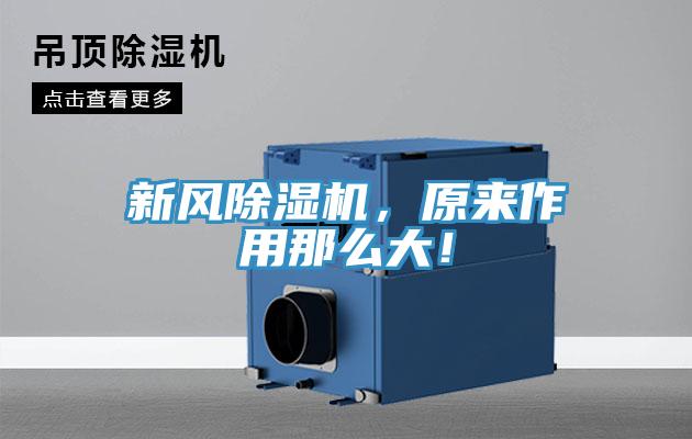 新風(fēng)除濕機(jī)，原來(lái)作用那么大！