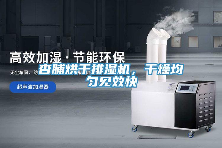 杏脯烘干排濕機(jī)，干燥均勻見效快