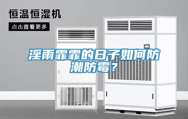 淫雨霏霏的日子如何防潮防霉？