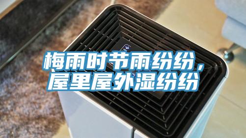 梅雨時(shí)節(jié)雨紛紛，屋里屋外濕紛紛