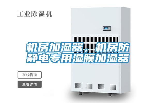 機(jī)房加濕器，機(jī)房防靜電專用濕膜加濕器