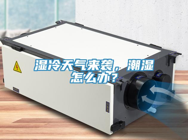 濕冷天氣來襲，潮濕怎么辦？