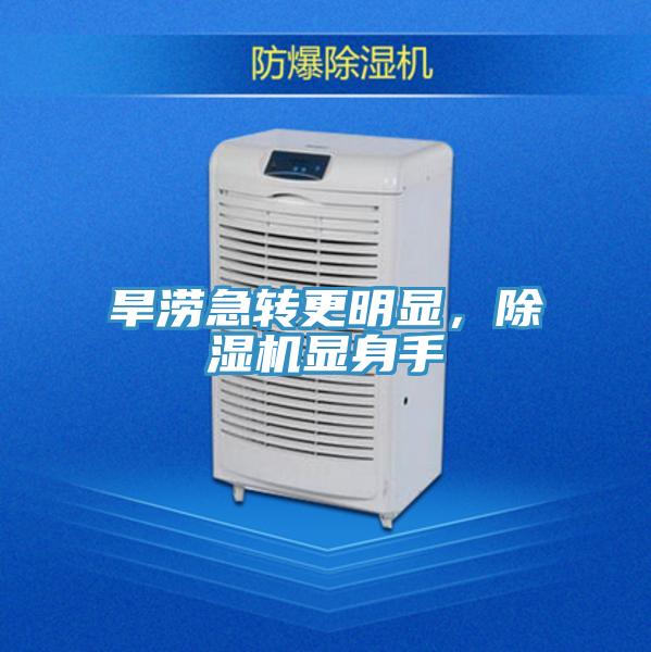 旱澇急轉(zhuǎn)更明顯，除濕機顯身手