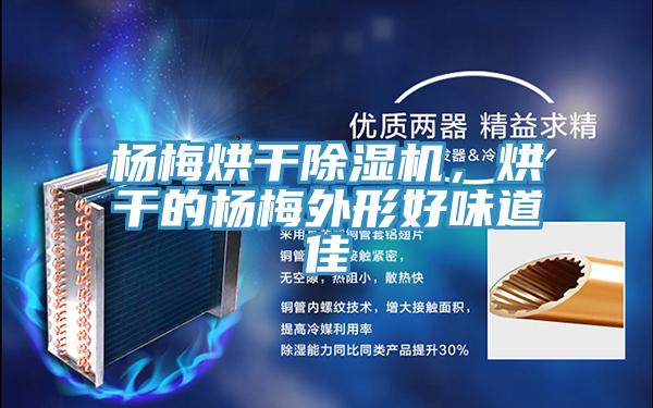 楊梅烘干除濕機(jī)，烘干的楊梅外形好味道佳