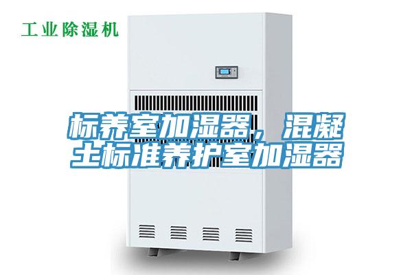 標(biāo)養(yǎng)室加濕器，混凝土標(biāo)準(zhǔn)養(yǎng)護(hù)室加濕器