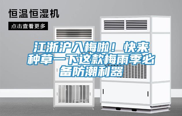江浙滬入梅啦！快來種草一下這款梅雨季必備防潮利器