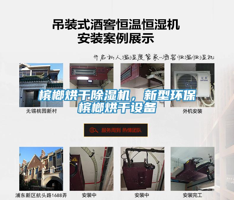 檳榔烘干除濕機(jī)，新型環(huán)保檳榔烘干設(shè)備