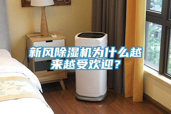 新風(fēng)除濕機(jī)為什么越來越受歡迎？