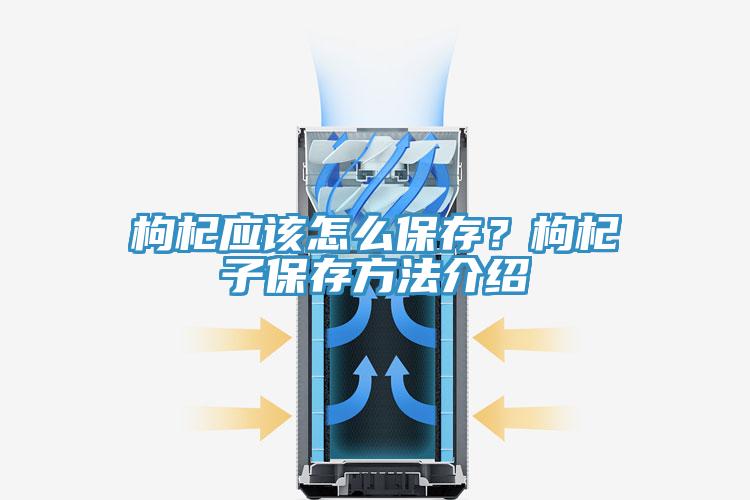 枸杞應(yīng)該怎么保存？枸杞子保存方法介紹