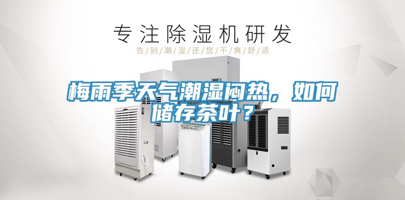 梅雨季天氣潮濕悶熱，如何儲(chǔ)存茶葉？