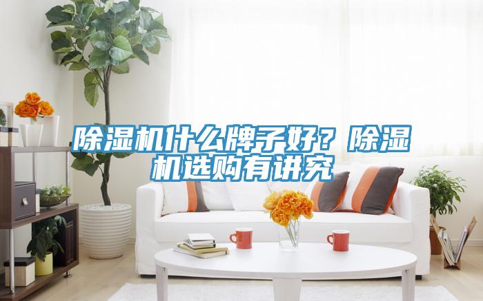 除濕機什么牌子好？除濕機選購有講究