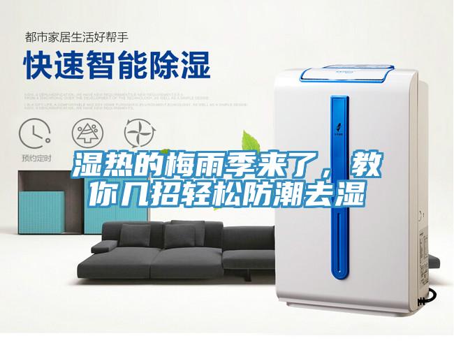 濕熱的梅雨季來了，教你幾招輕松防潮去濕