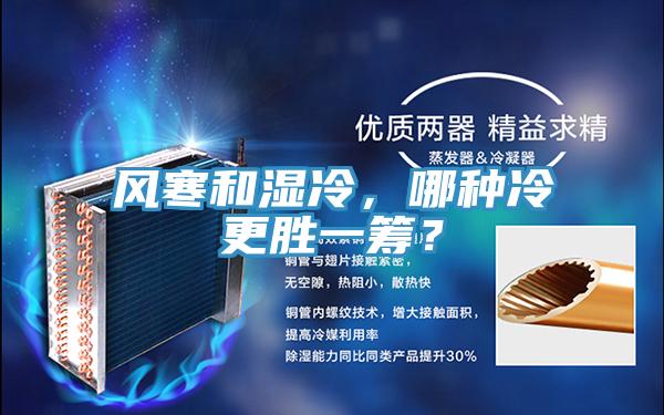 風(fēng)寒和濕冷，哪種冷更勝一籌？