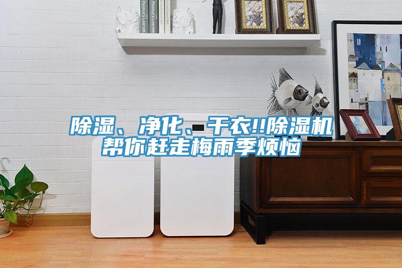 除濕、凈化、干衣!!除濕機(jī)幫你趕走梅雨季煩惱