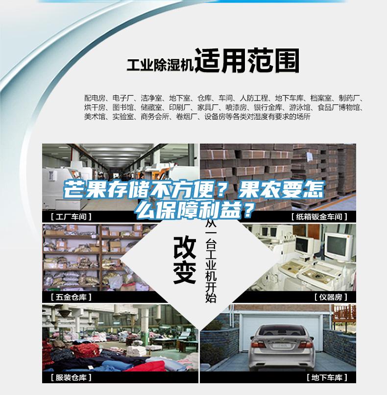 芒果存儲不方便？果農要怎么保障利益？