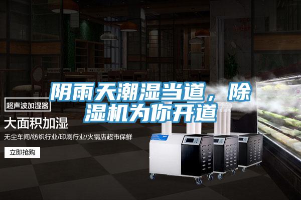 陰雨天潮濕當?shù)?，除濕機為你開道