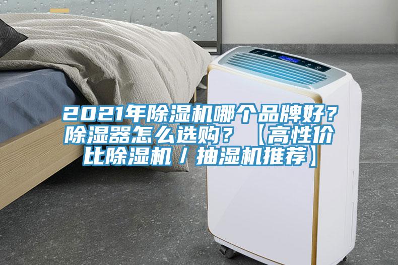 2021年除濕機哪個品牌好？除濕器怎么選購？【高性價比除濕機／抽濕機推薦】