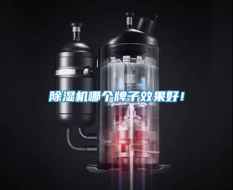 除濕機(jī)哪個(gè)牌子效果好！