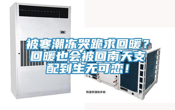 被寒潮凍哭跪求回暖？回暖也會被回南天支配到生無可戀！
