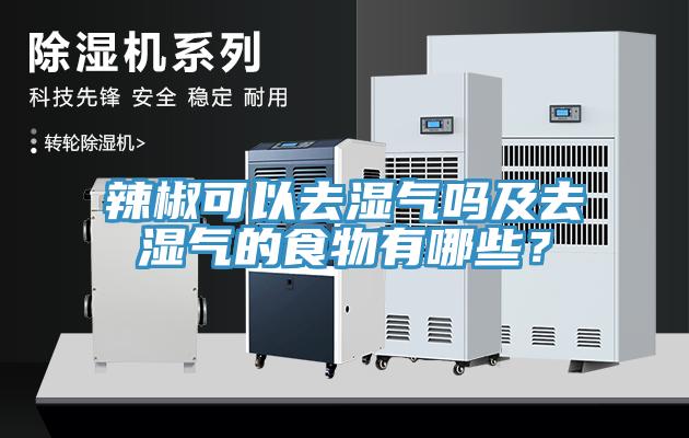 辣椒可以去濕氣嗎及去濕氣的食物有哪些？