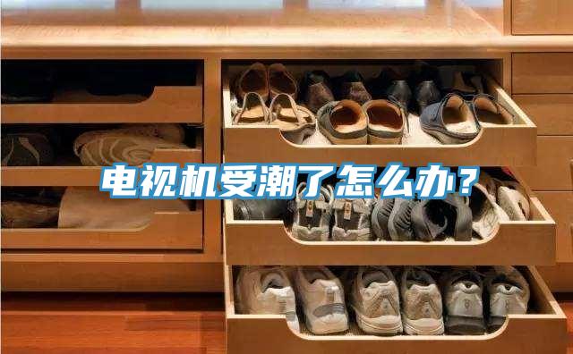 電視機(jī)受潮了怎么辦？