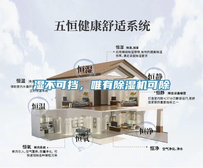 濕不可擋，唯有除濕機可除