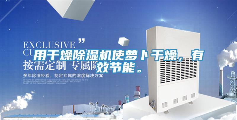 用干燥除濕機使蘿卜干燥，有效節(jié)能。