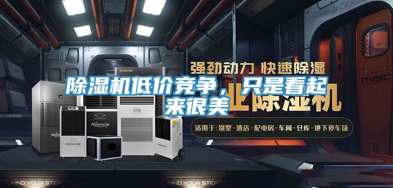 除濕機(jī)低價競爭，只是看起來很美