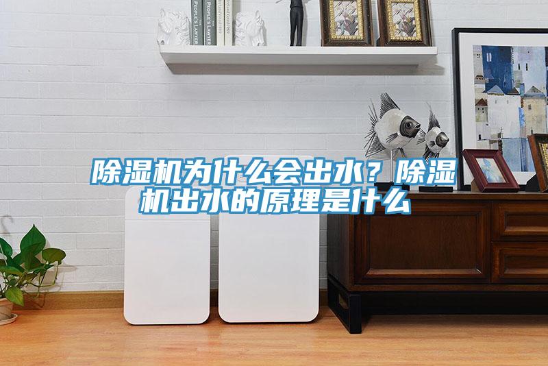 除濕機(jī)為什么會出水？除濕機(jī)出水的原理是什么