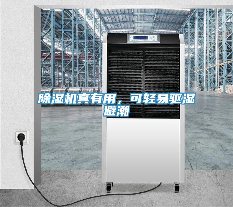 除濕機(jī)真有用，可輕易驅(qū)濕避潮