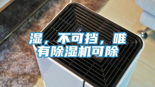 濕，不可擋，唯有除濕機(jī)可除