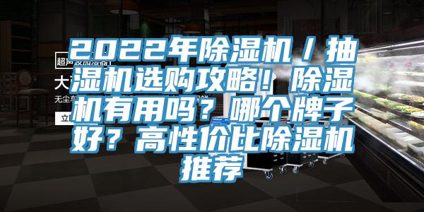 2022年除濕機(jī)／抽濕機(jī)選購(gòu)攻略！除濕機(jī)有用嗎？哪個(gè)牌子好？高性價(jià)比除濕機(jī)推薦