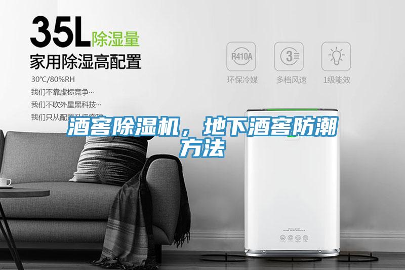 酒窖除濕機，地下酒窖防潮方法