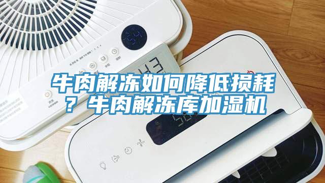牛肉解凍如何降低損耗？牛肉解凍庫加濕機